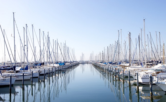 Boats in marina