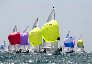 dinghys with different coloured sails