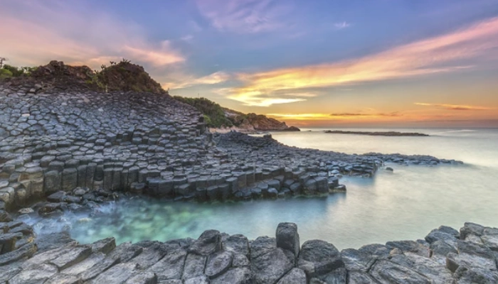 Giants Causeway wildlife hotspot Towergate