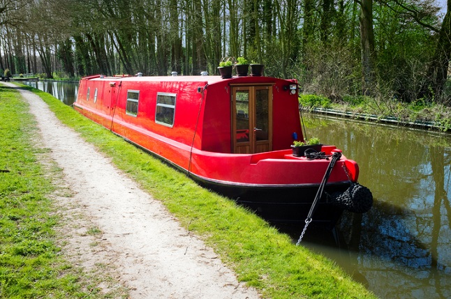 Cat on top of narrowboat