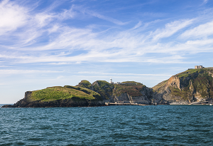 Lundy Island, wildlife
 hotspot Towergate