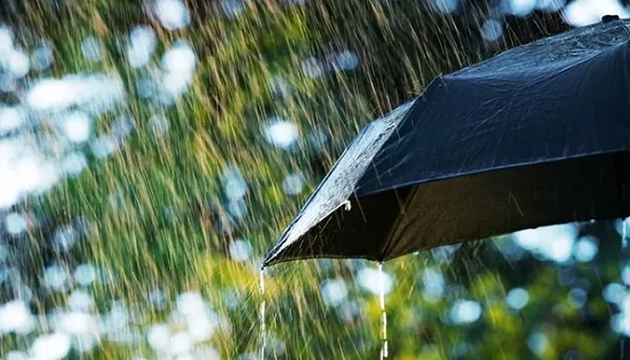 umbrella in the rain