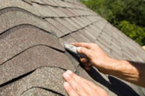 Shingle roof