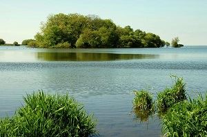 Kettlebottom Lough Neagh