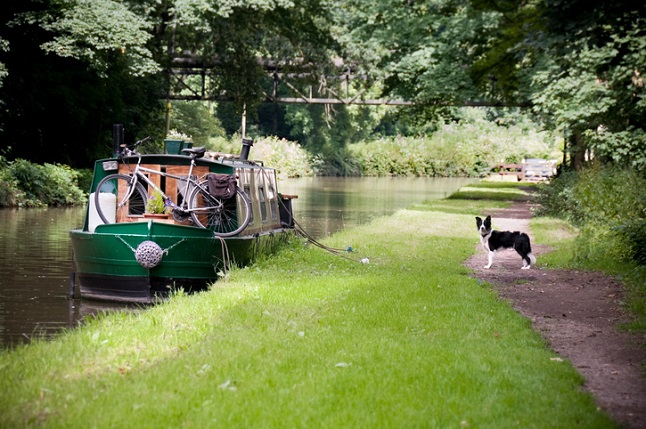 Dog next to narrowboat