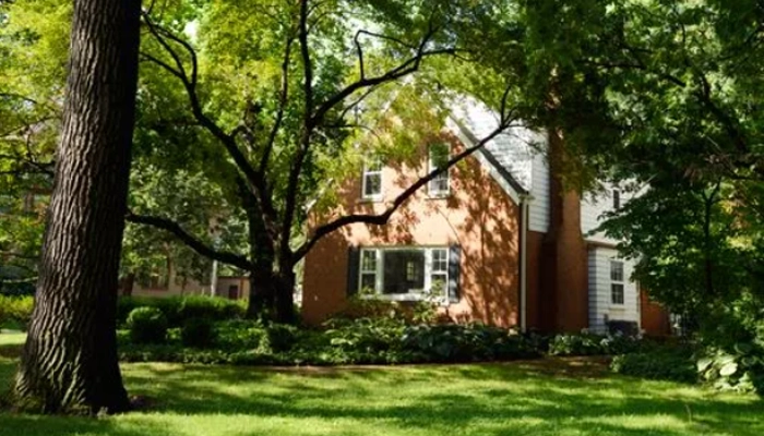 ALT home set amongst large trees