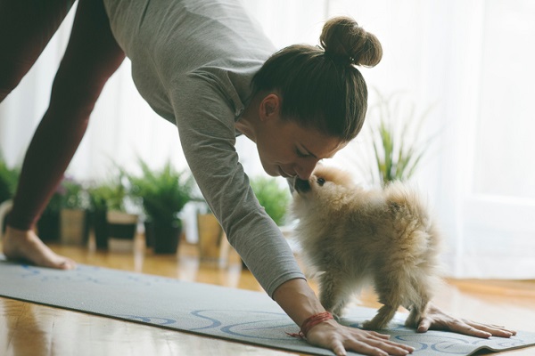 Dog licking owner doing yoga