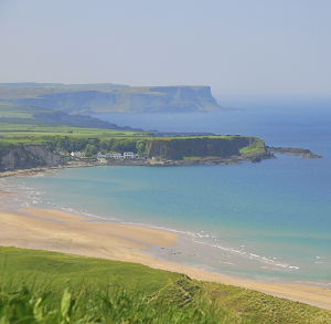 Northern Irish Coast wildlife hotspot Towergate