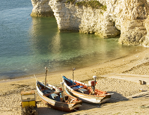 Flamborough, Yorkshire Towergate wildlife hotspots